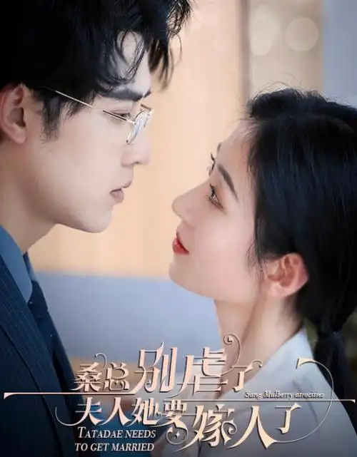 铜雀台旧事 全集在线观看